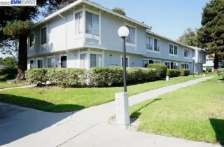 Photo #4: 41040421 Listing 