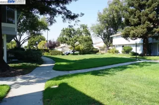 Photo #5: 41040421 Listing 