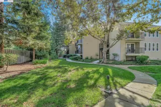 Photo #1: 41040490 Listing