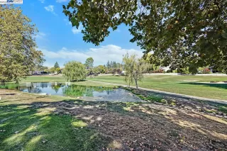 Photo #3: 41040536 Listing