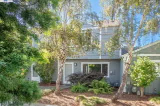 Photo #1: 41040664 Listing