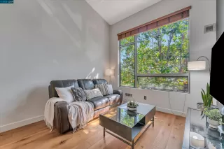 Photo #1: 41041196 Listing