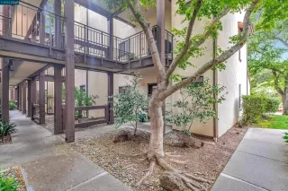 Photo #6: 41041475 Listing