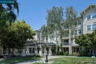 Photo #4: 41041575 Listing