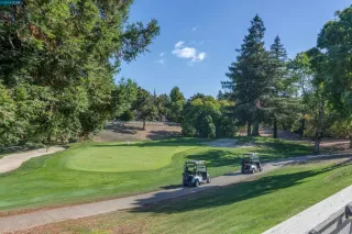 Photo #2: 41041679 Listing