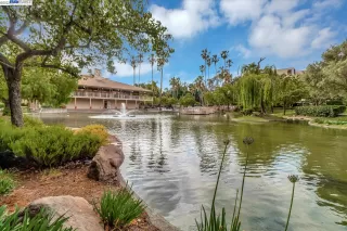 Photo #1: 41042095 Listing 