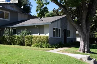 Photo #1: 41042373 Listing