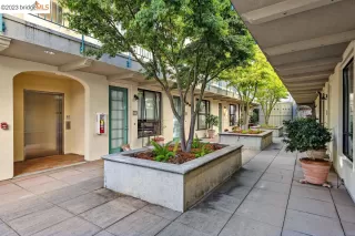 Photo #1: 41042418 Listing