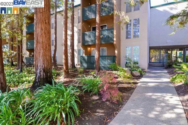 MLS: 41042426 Condo For Sale
