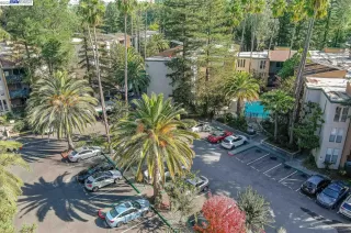 Photo #2: 41042426 Listing