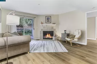 Photo #1: 41042478 Listing 