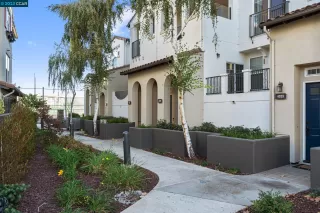 Photo #2: 41042488 Listing 