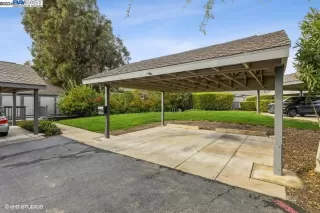 Photo #1: 41042563 Listing 