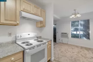 Photo #4: 41042829 Listing 