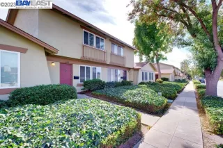 Photo #1: 41042994 Listing 