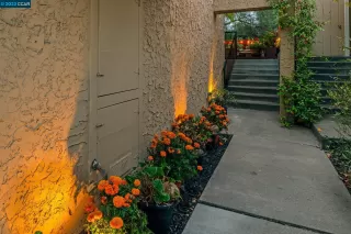 Photo #1: 41043071 Listing