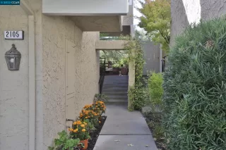 Photo #2: 41043071 Listing