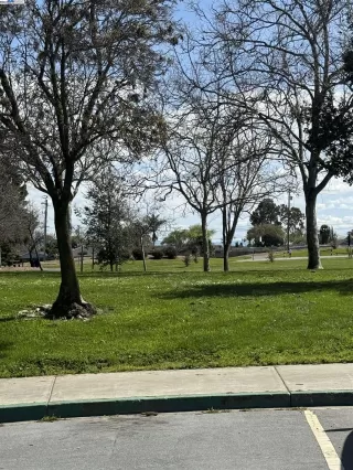 Photo #2: 41043544 Listing