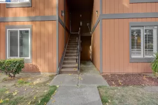 Photo #1: 41043599 Listing 