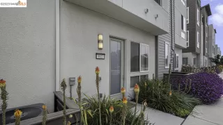 Photo #1: 41043635 Listing