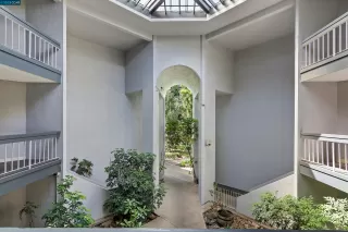 Photo #1: 41043684 Listing