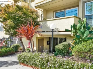 Photo #1: 41043715 Listing