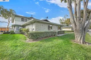 Photo #1: 41043770 Listing