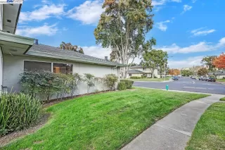 Photo #5: 41043770 Listing