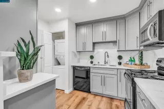 Photo #5: 41043871 Listing