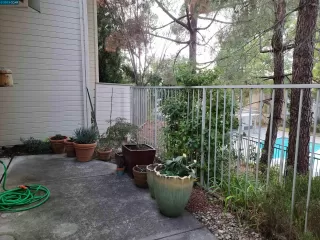 Photo #6: 41044253 Listing