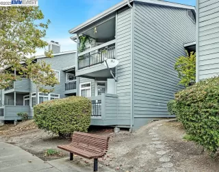 Photo #1: 41044326 Listing