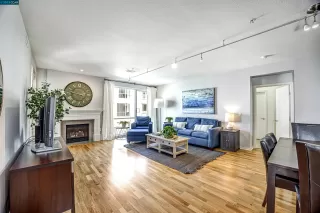 Photo #1: 41044469 Listing