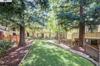 Photo #2: 41044564 Listing