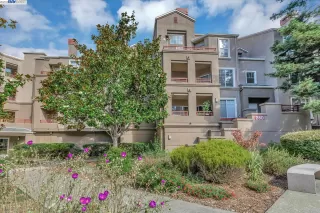 Photo #1: 41044987 Listing