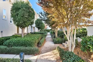 Photo #1: 41045007 Listing