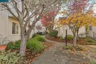 Photo #1: 41045621 Listing 