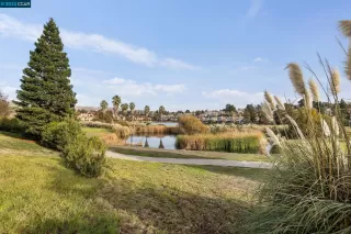 Photo #5: 41045763 Listing 