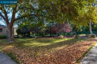 Photo #1: 41045780 Listing 