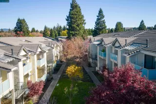 Photo #1: 41045922 Listing