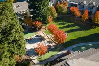 Photo #2: 41045922 Listing