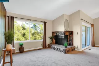 Photo #5: 41046010 Listing