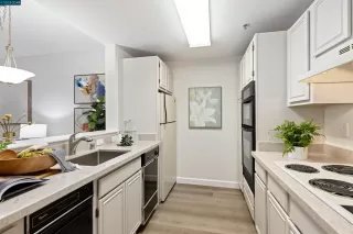 Photo #5: 41046120 Listing