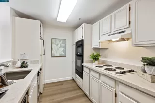 Photo #6: 41046120 Listing