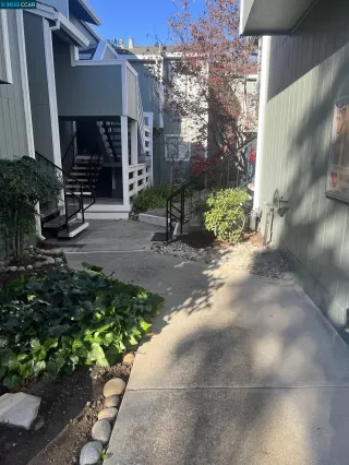 Photo #1: 41046229 Listing