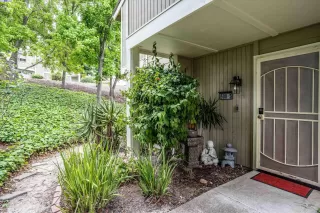 Photo #1: 41046539 Listing