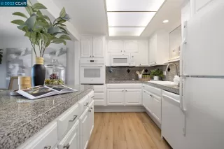 Photo #1: 41046554 Listing