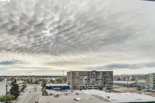 Photo #6: 41046609 Listing