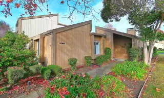 Photo #1: 41046733 Listing