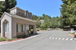 Photo #1: 41046767 Listing