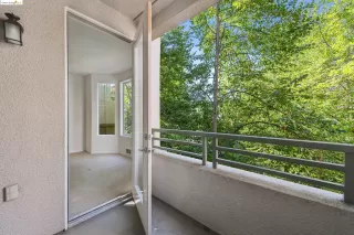 Photo #6: 41046767 Listing